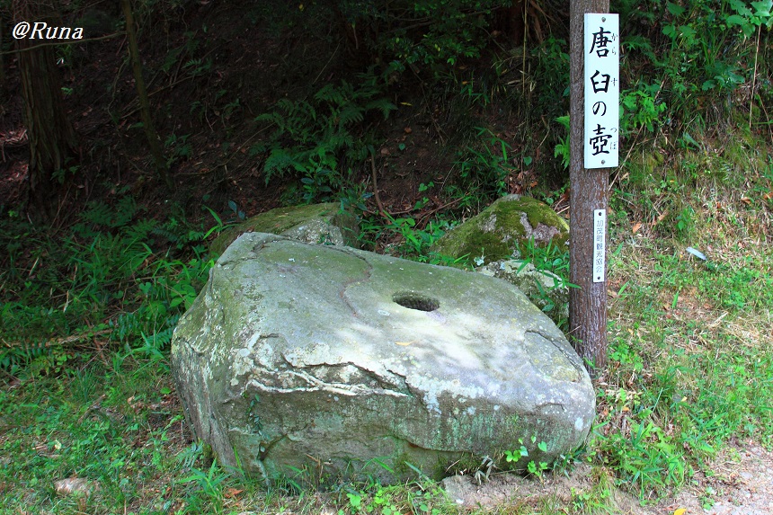 DPP_4850-1